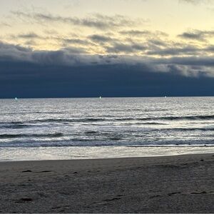 Meet your Posher, Antoinette